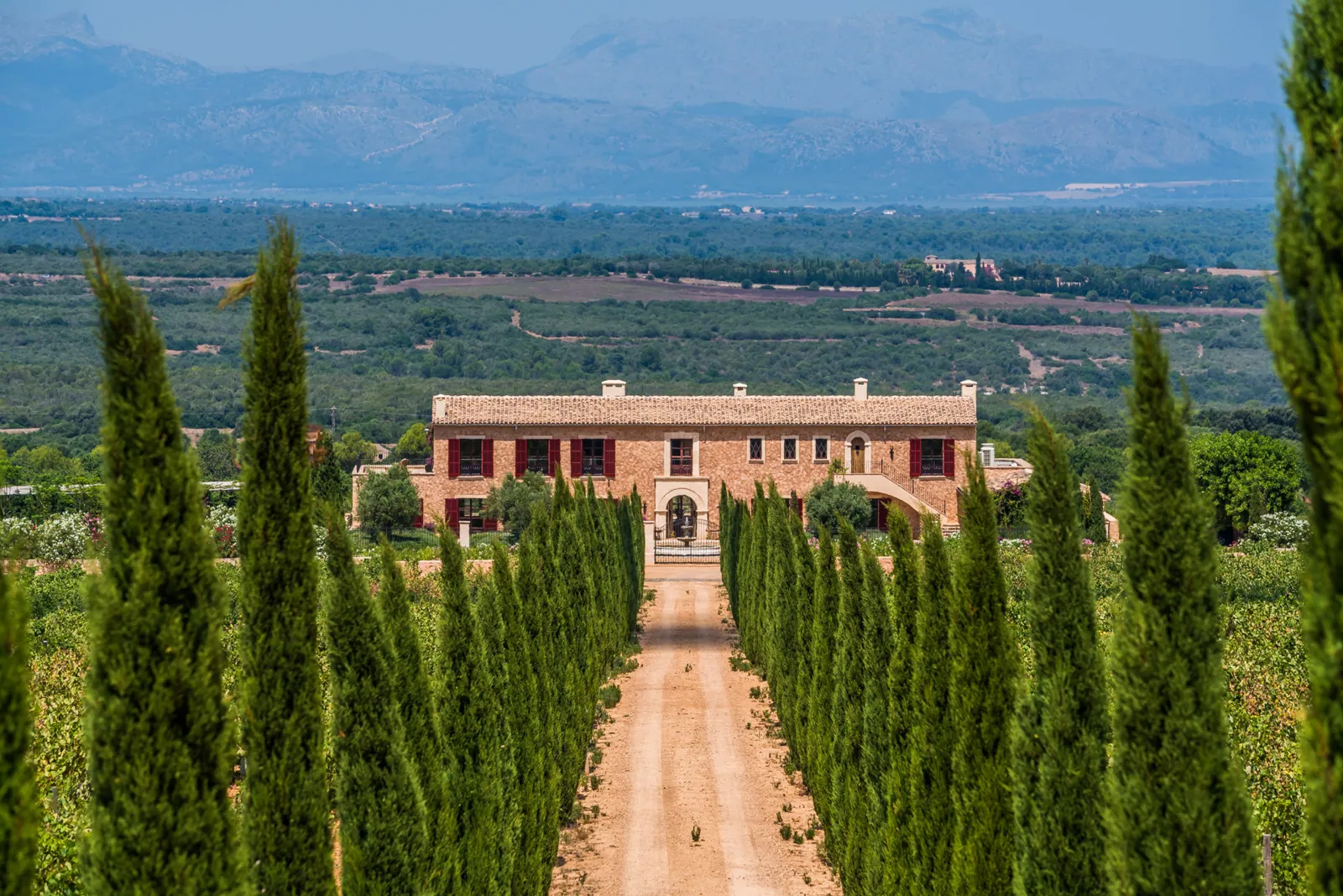 Finca Petra 1