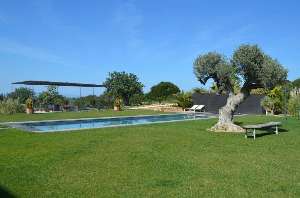 Pool maintained by Palmer & Partners