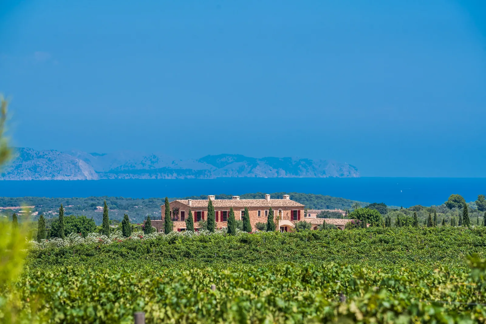 Finca Petra 1, manor house among vineyards with the sea behind