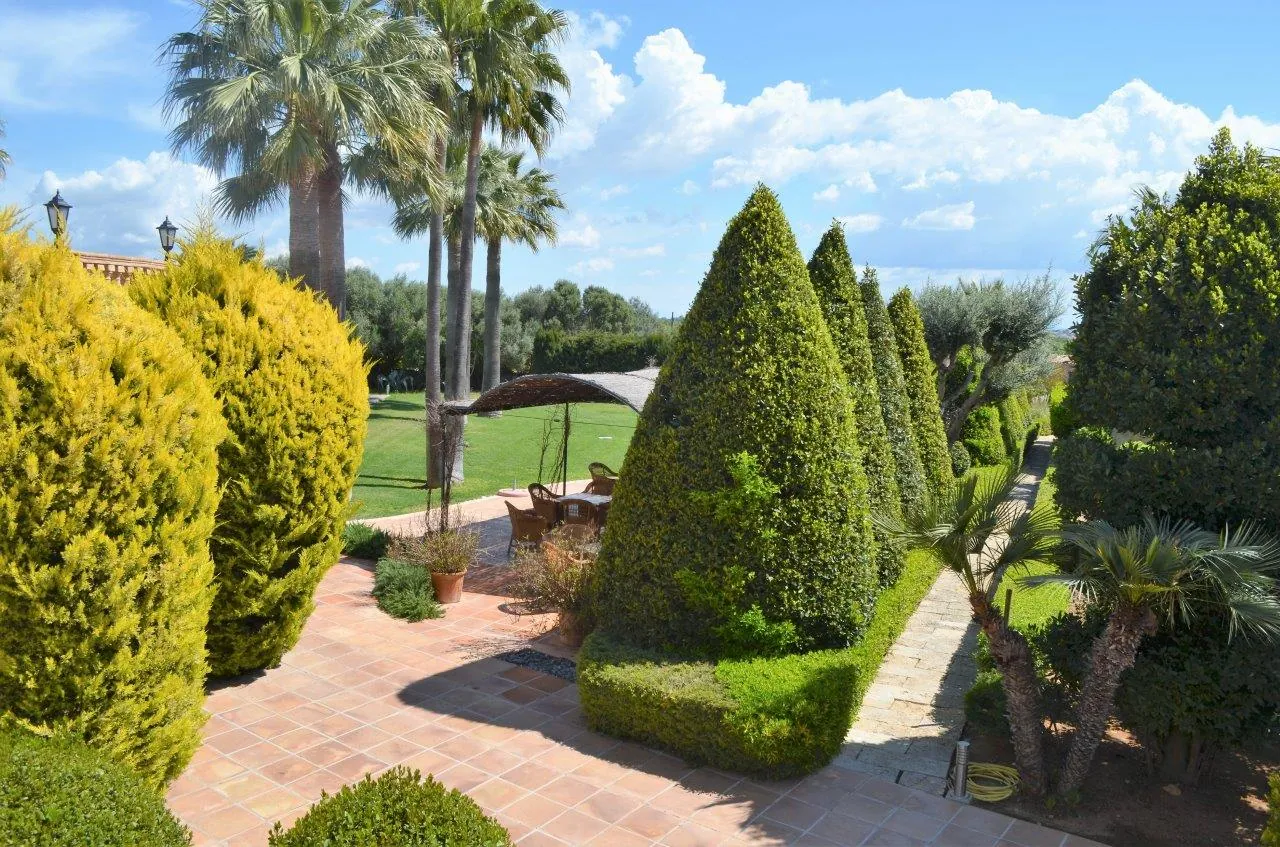 Garden with clipped cypresses, palms and terracotta paths